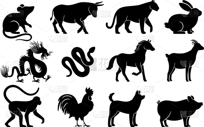 说长道短的动物是什么生肖插图