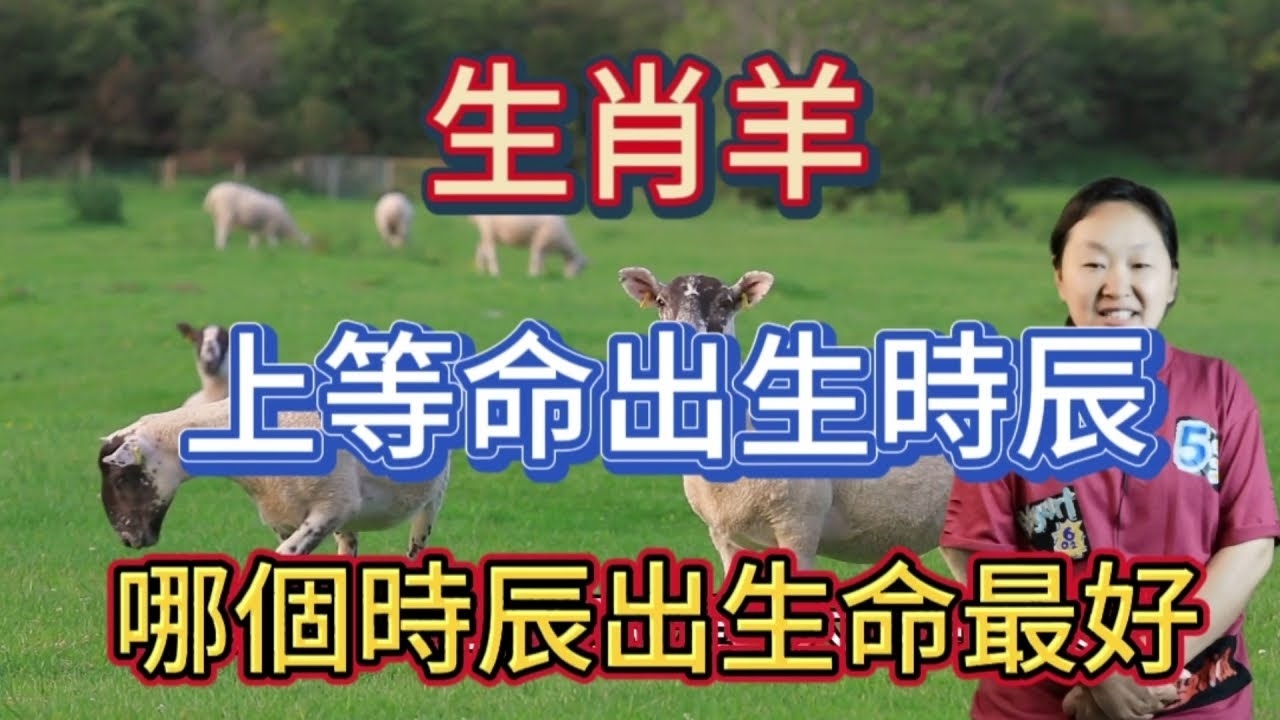 三从四德，生肖羊最契合插图