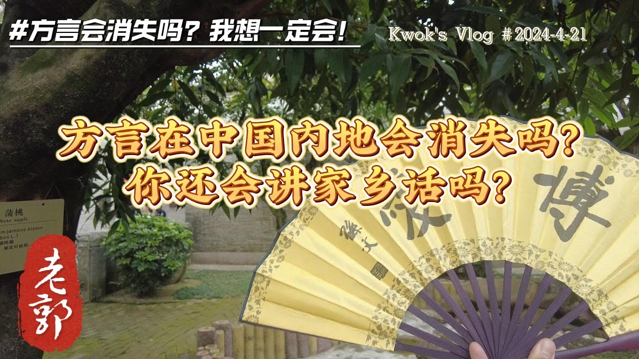 山东聊天室，乡音乡情，共话齐鲁大地插图