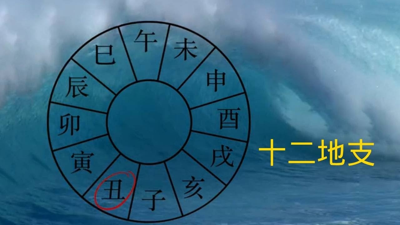 十二地支含义详解插图