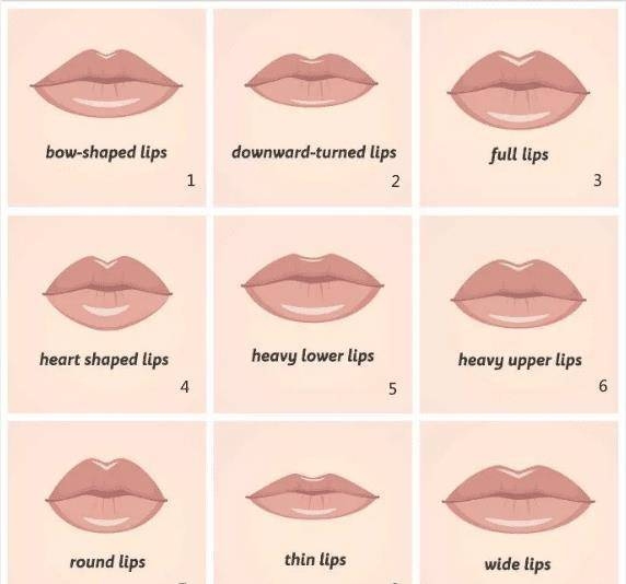 双耳旁特写，左右对比鲜明插图