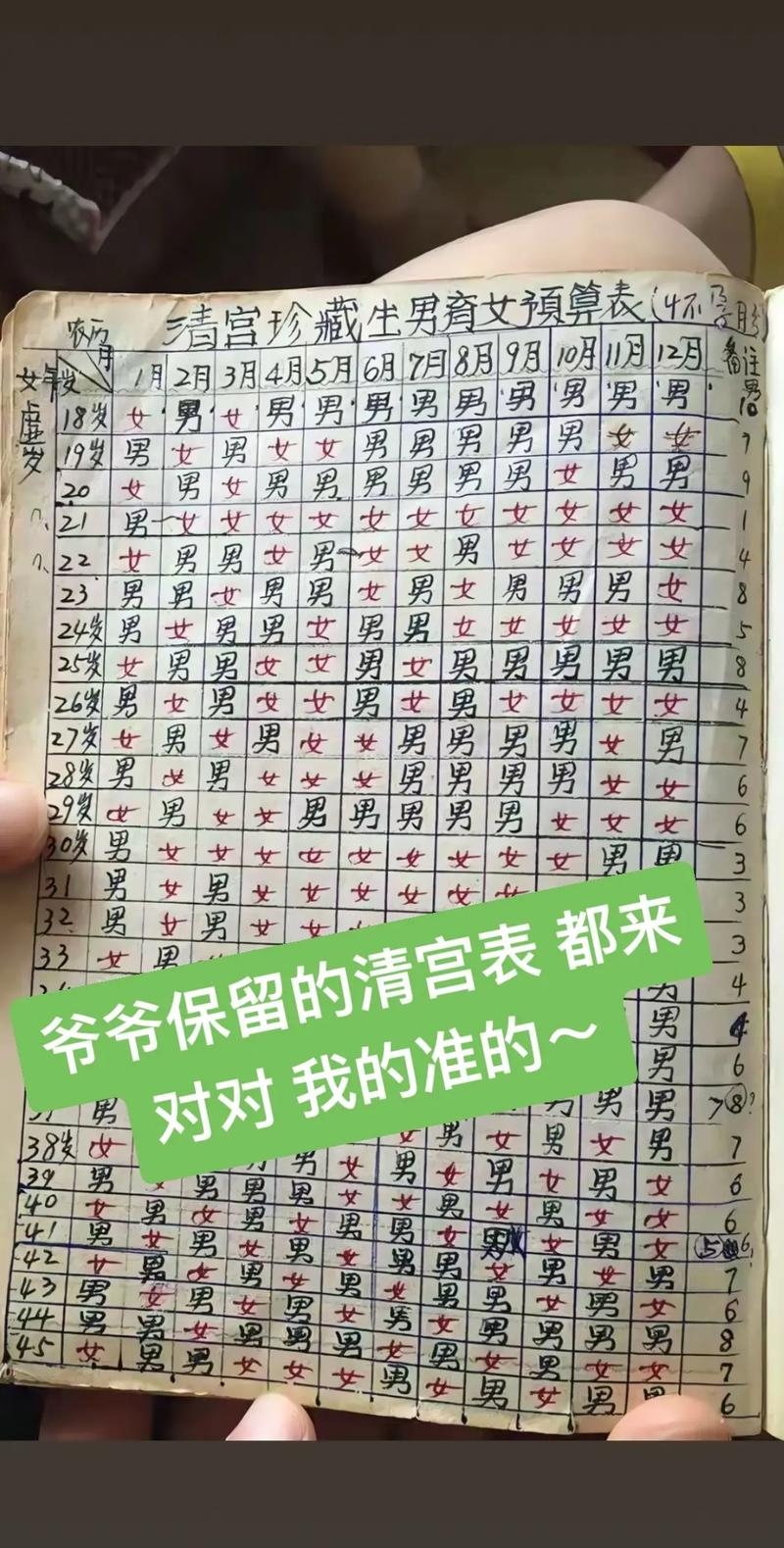 生儿生女表，为母婴健康与幸福谱写人生乐章插图