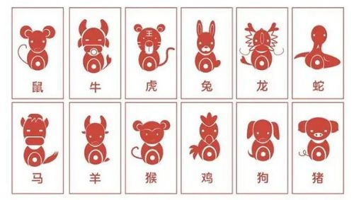 十二生肖配对，六合三合，婚姻运势早知道插图