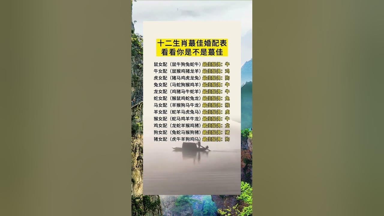 十二生肖最佳婚配表，传统智慧与现代爱情的奇妙融合插图