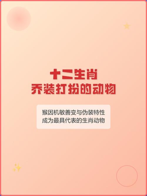 十二生肖里最会乔装打扮的动物?,猴子机灵模仿人,‘乔装’无处不在插图 十二生肖里最会乔装打扮的动物?,猴子机灵模仿人,‘乔装’无处不在插图