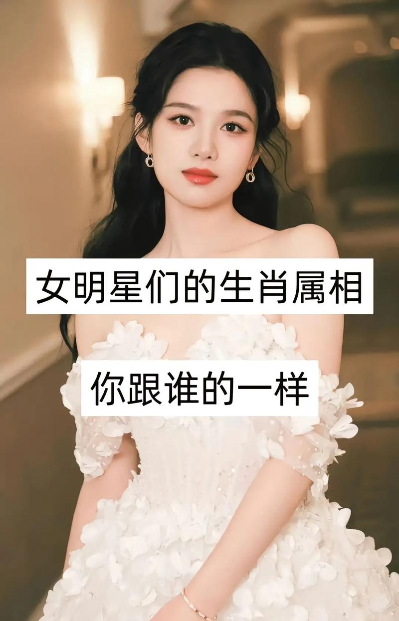 十二生肖演员名单插图