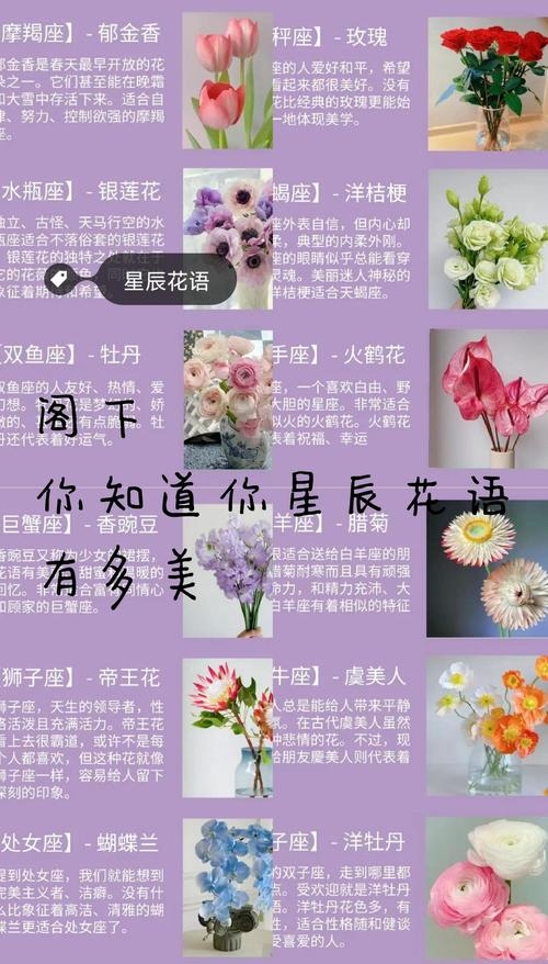 十二星座守护花精灵，揭秘各星座的花语与性格映射插图