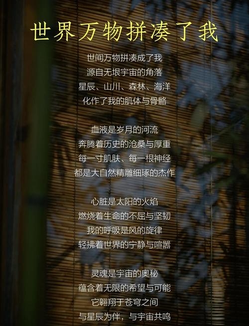 思凡，探寻生命深处的诗篇插图