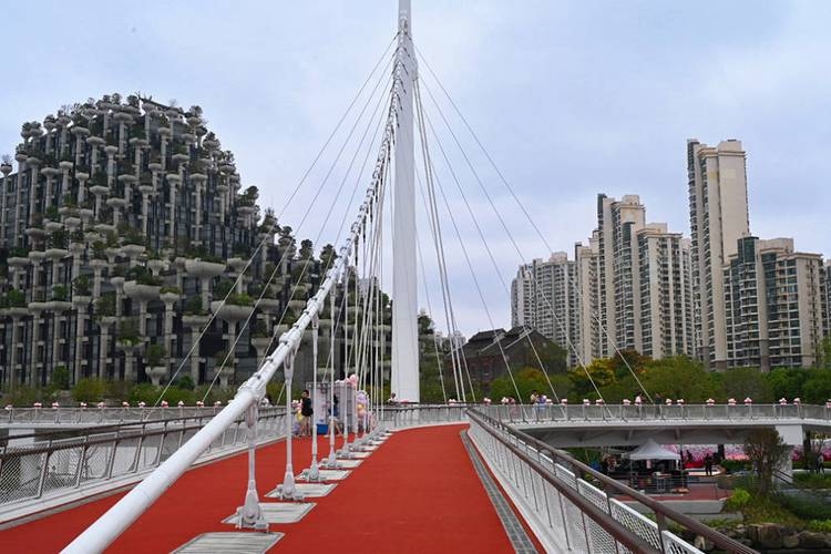 上海婚介，搭建现代都市爱情桥梁的独特魅力插图