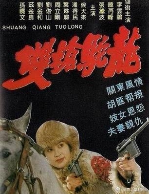 三级片取名，为视觉盛宴与文化传承双线突围插图