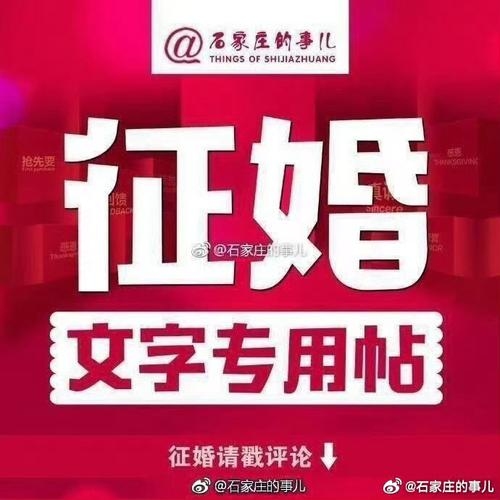 石家庄征婚，城市里的爱之邀约插图