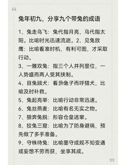 四面八方打一生肖，兔是常见答案插图