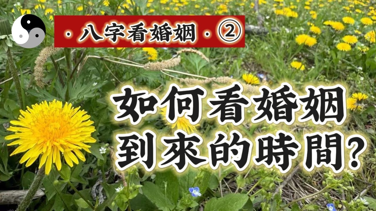 算命婚姻，传统与现代交织的姻缘探索插图