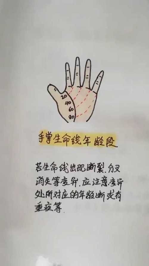 生命线长短非寿命决定因素插图