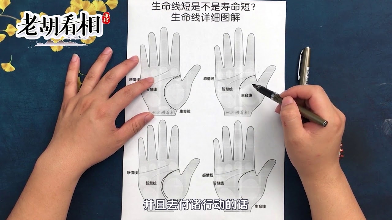 生命线短，生命的意义与延展的困境插图