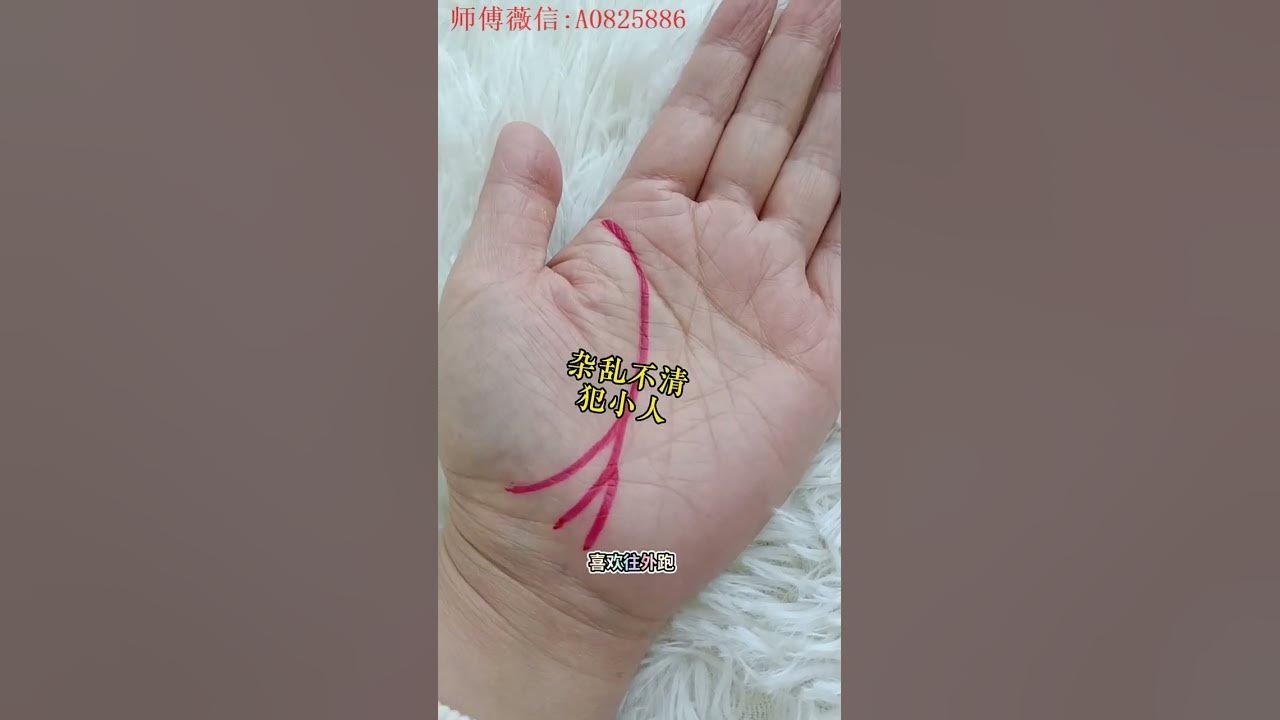 生命线分叉，探索命运的多重路径插图