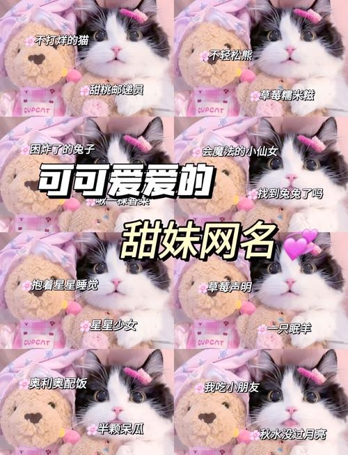 少女心软粉，萌态网名大赏插图