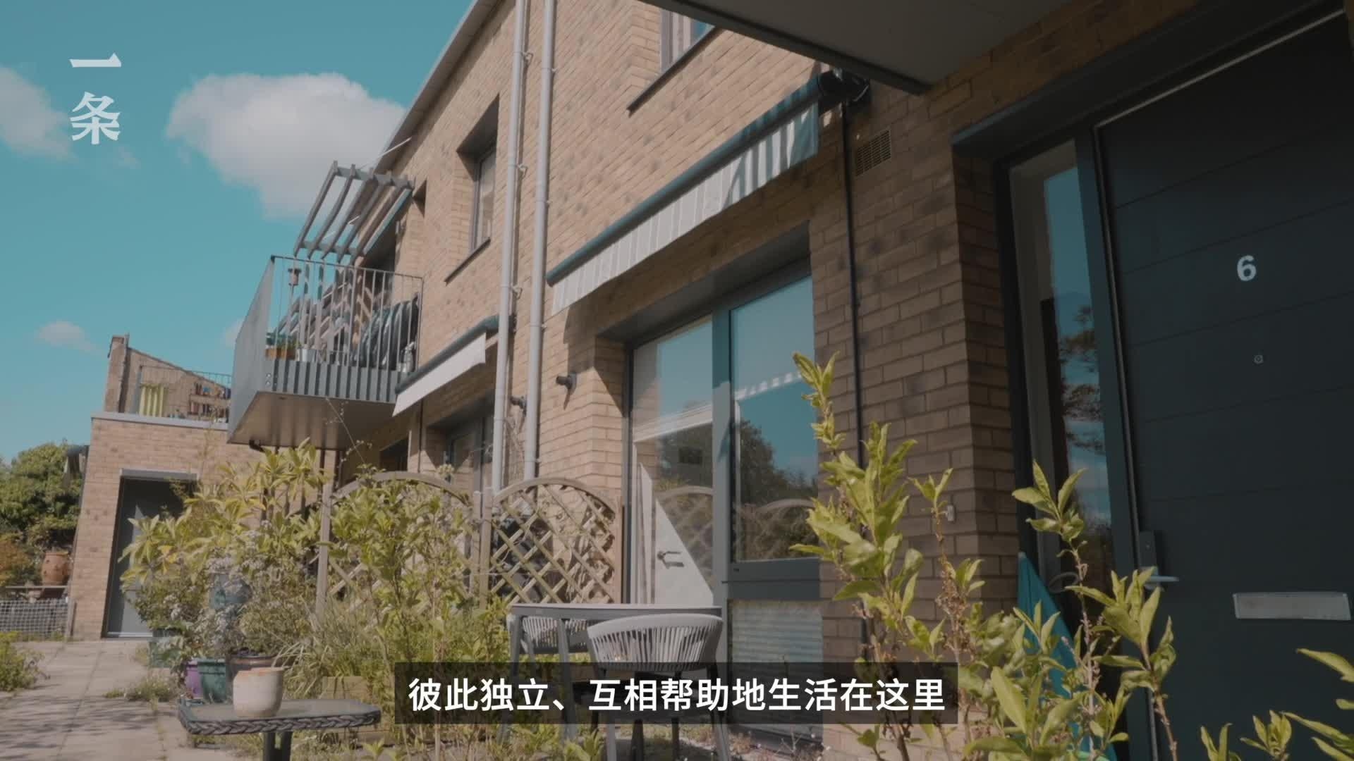 社区活动，老年人寻找伴侣的新选择插图