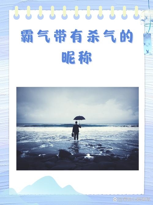 杀气名字，暗夜中的锋芒与隐秘插图