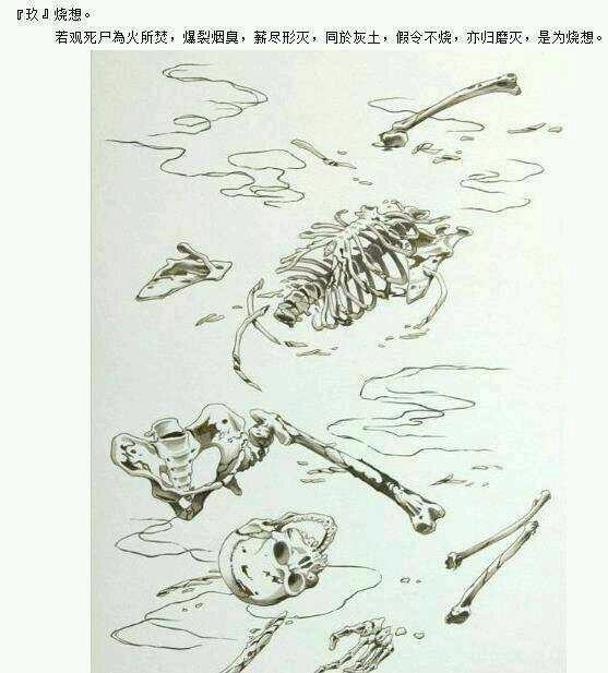死人骨头，历史的见证与文化的反思插图