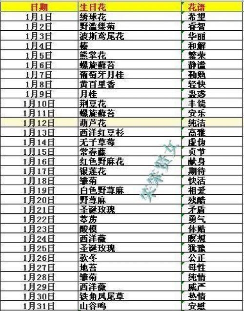 生日花查询，如何精准锁定专属的生日礼遇插图