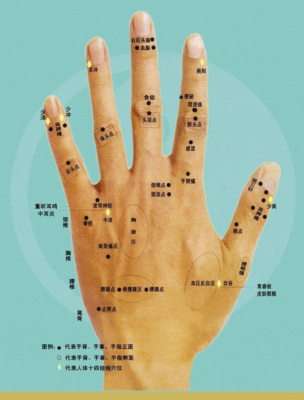 手上长痣面相图，解读手相中的秘密插图