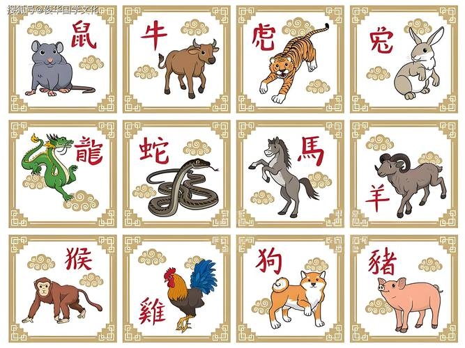 十四属相，中国民俗文化中的生肖与精神象征插图