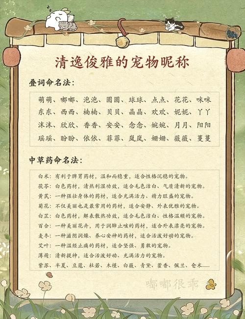 神武好听的宠物名字，为你的萌宠增添一份独特魅力插图