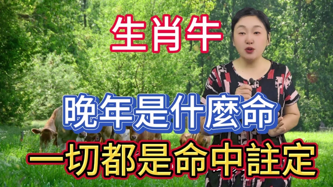 世外桃源生肖谜，牛为更广泛接受答案插图