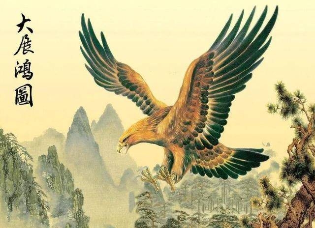 司晨报晓,揭秘哪个生肖与黎明同辉插图 司晨报晓,揭秘哪个生肖与黎明同辉插图