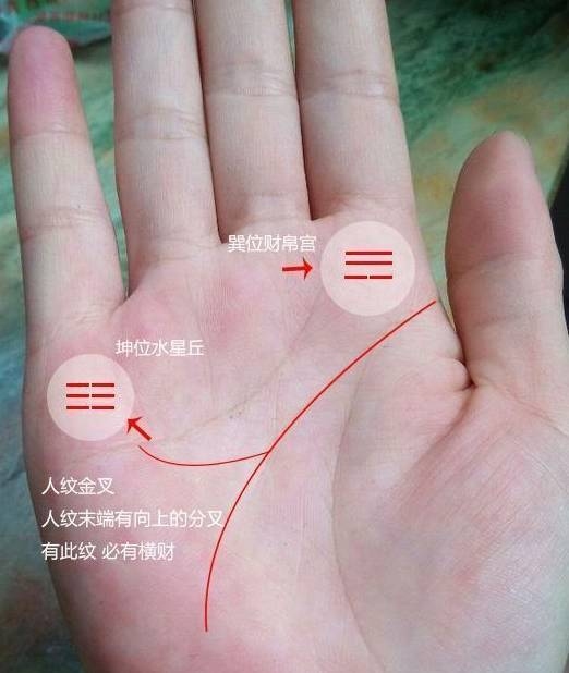 手相财富线，揭示你财运的奥秘插图