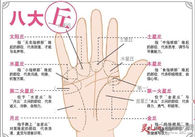 手相大师，揭秘命运的纹理插图