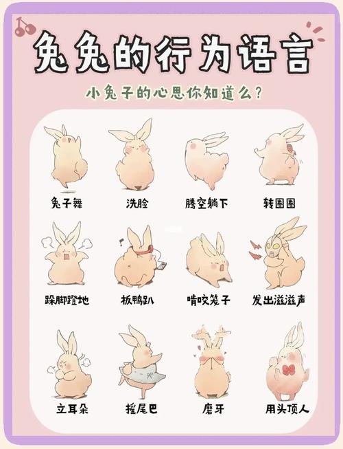 三心二意，生肖兔的机智与灵活插图