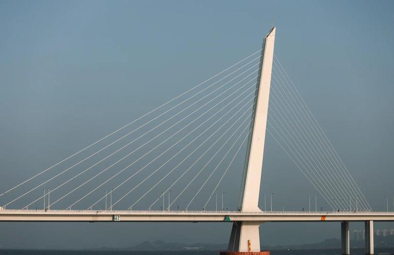 深圳婚恋网，连接心与城的爱情桥梁插图