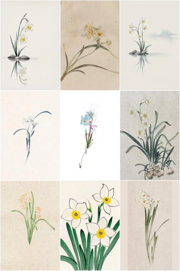 水仙花与风水，传统智慧与现代美学的和谐共生插图