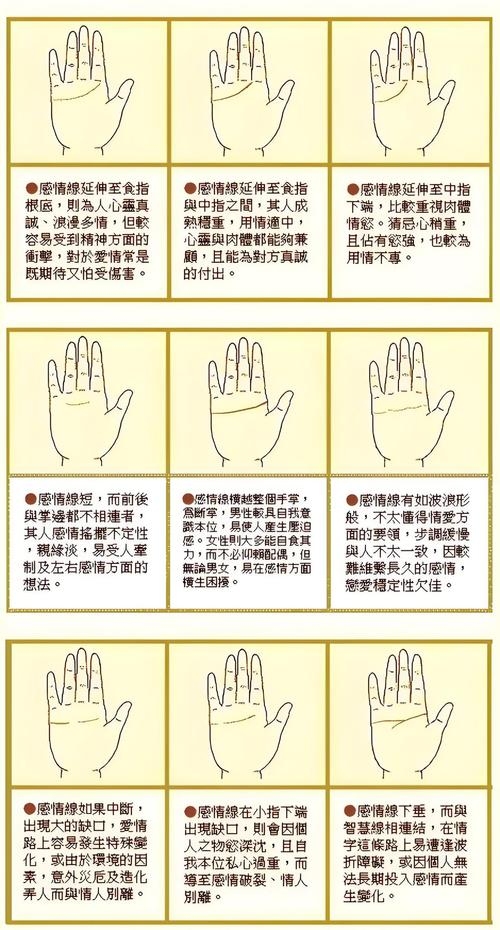 手纹解读女性命运，九种特殊纹路助财富插图