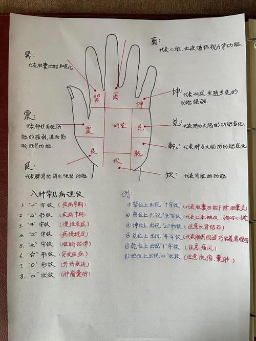 手纹看病的20-30字标题，手纹有道，爱需自知插图