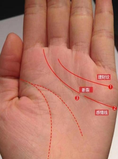 手相看婚姻概率低，需谨慎决策插图