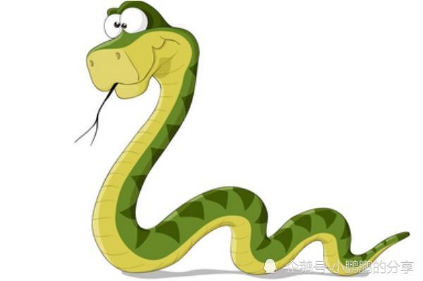 三姑六婆生肖与蛇相关插图