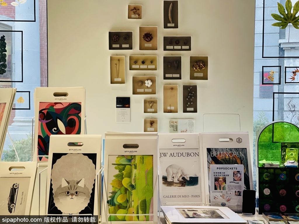 书香名城，探寻书店名字的独特韵味插图