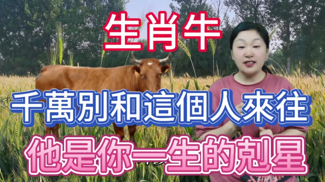 生肖牛克己奉公插图