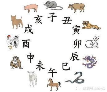 生肖配对姻缘查询插图 生肖配对姻缘查询插图