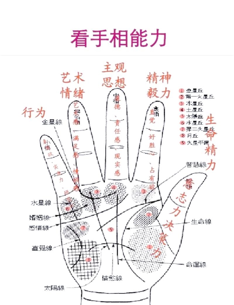 手纹算命，探索掌纹中的奥秘插图