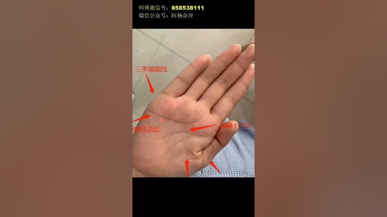 手相图解,揭秘财富、事业与命运的奥秘插图 手相图解,揭秘财富、事业与命运的奥秘插图