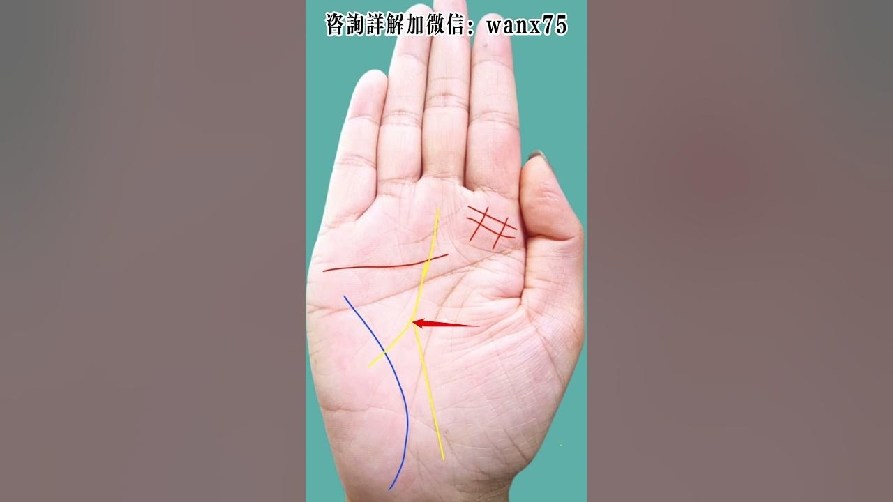 手相图解，女右手的神秘密码插图