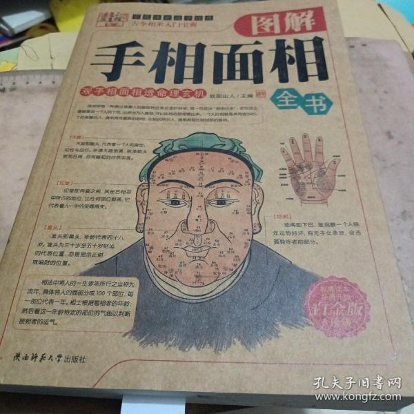 手相图解，破解命理密码的终极解密术插图
