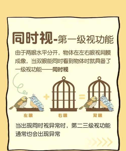 三庭五眼，构建高阶视觉语言的智慧之钥插图