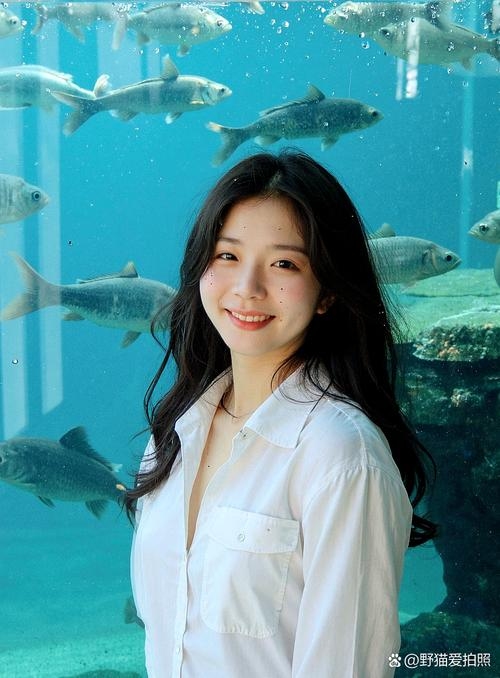 上蔡征婚，一场传统与现代交织的浪漫邂逅插图