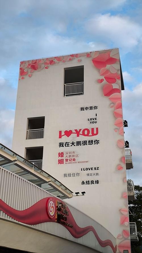 深圳相亲网，城市里的爱缘起之地插图