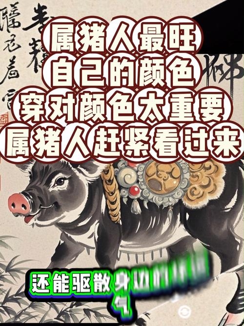 生肖猪，好色成性的社交高手插图